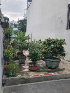BÁN ĐẤT 4 X17, THỚI AN, LÊ THỊ RIÊNG, QUẬN 12, 3TỶ670TR